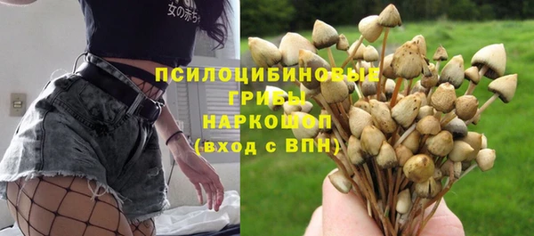 гашиш Анива