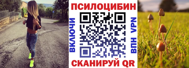купить наркоту  Муром  Псилоцибиновые грибы ЛСД 