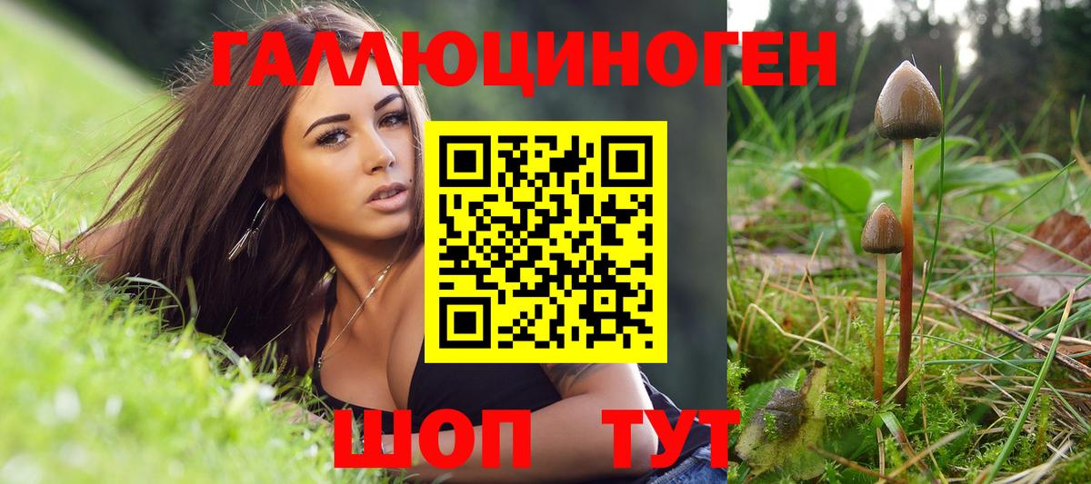 где можно купить   Муром  Псилоцибиновые грибы ЛСД 
