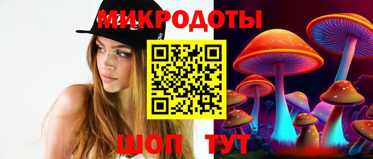 Псилоцибиновые грибы прущие грибы Муром