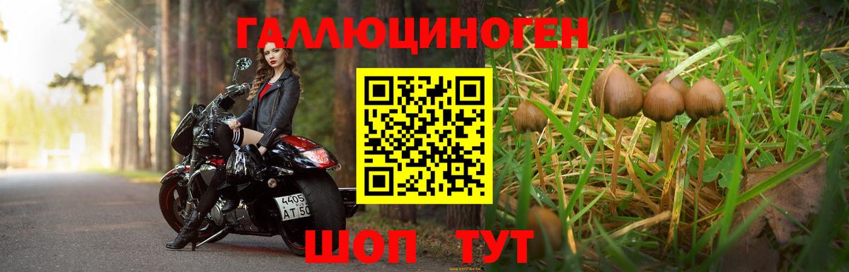 Галлюциногенные грибы мицелий  Вход с VPN  Муром 